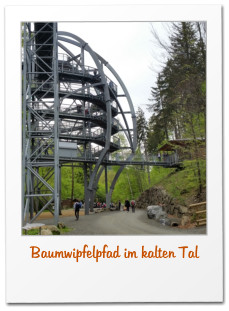 Baumwipfelpfad im kalten Tal