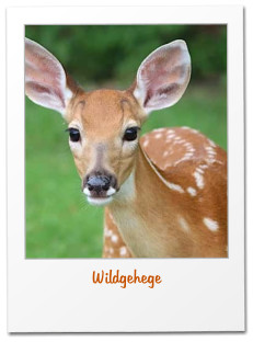 Wildgehege